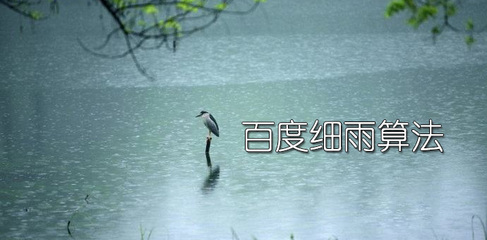 企業(yè)站遭百度“細(xì)雨算法”打擊后該怎么辦？